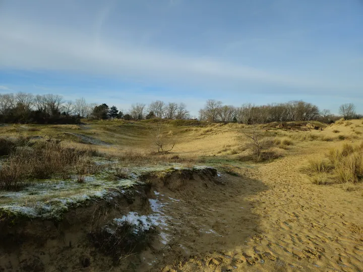 Oostnieuwkerke duinen wandeling in de koude (België)